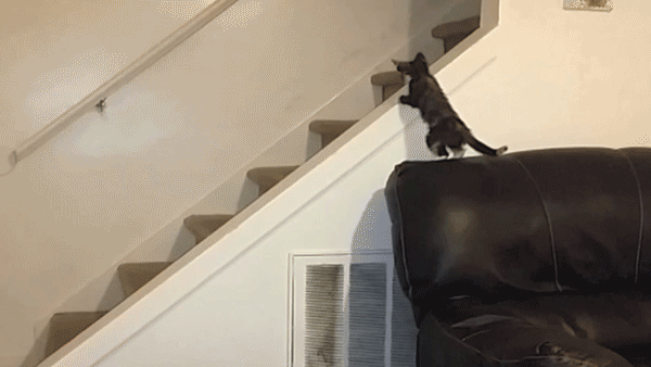 slide down stairs