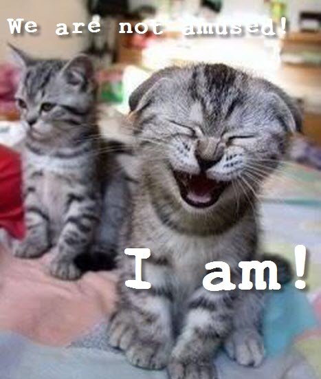 not amused