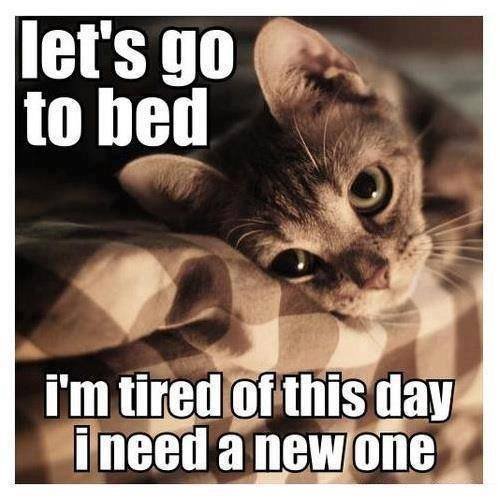 lets go to bed lol
