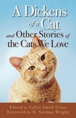 Dickens of a cat