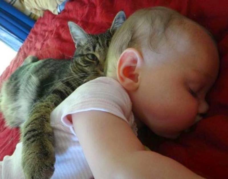 tiny human