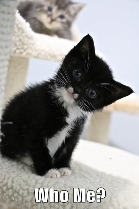 who me