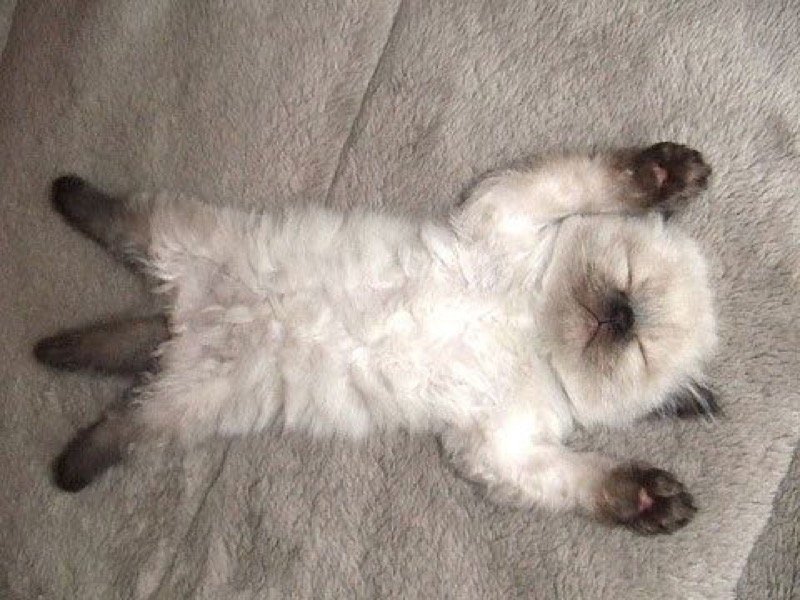 awwww
