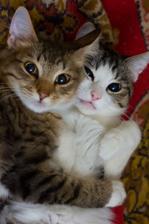 have you met my latest squeeze