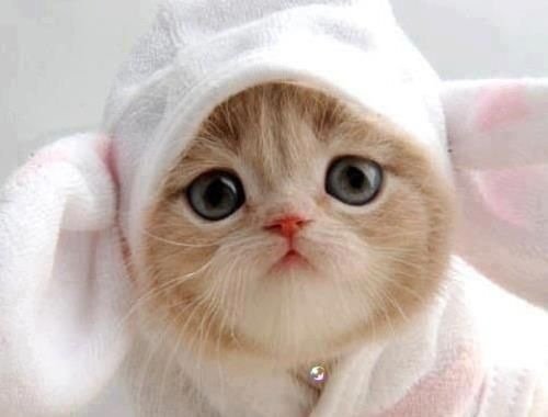 how many likes