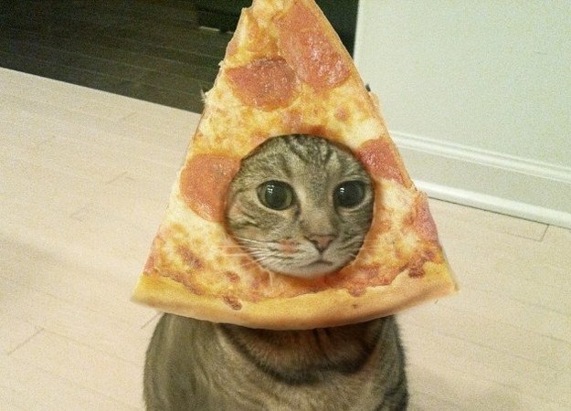 pizza 10