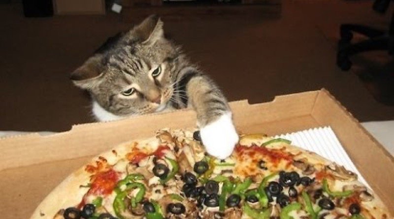 pizza 12
