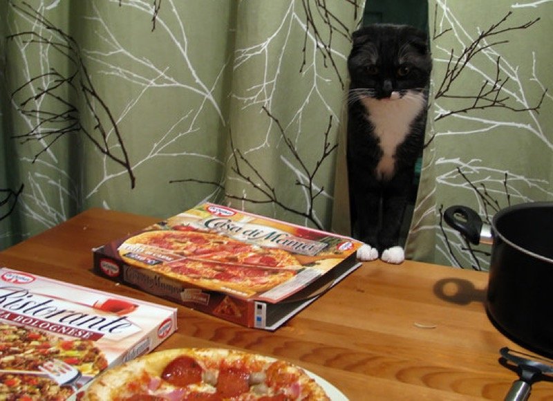 pizza 13
