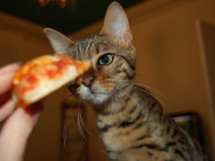 pizza 3
