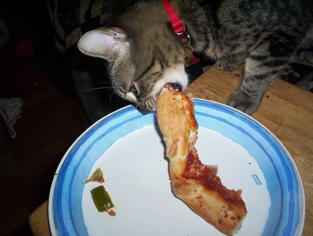 pizza 9