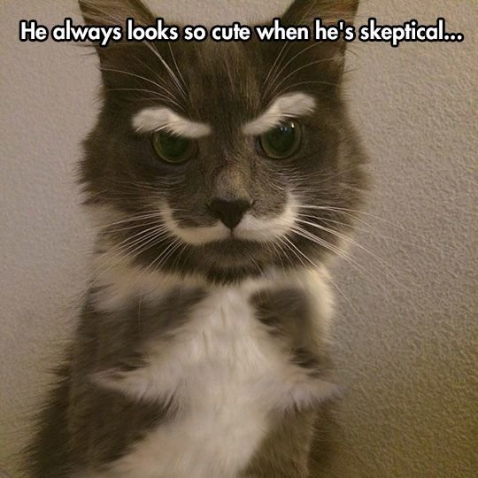 skeptical lol