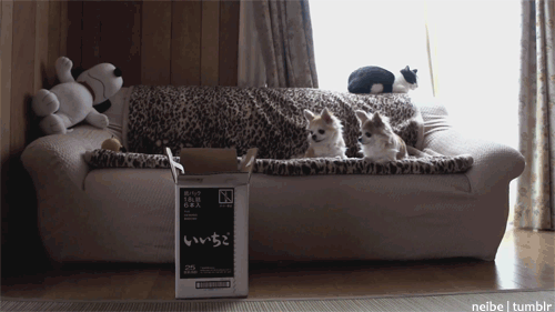 box fail