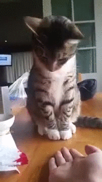get your hand away