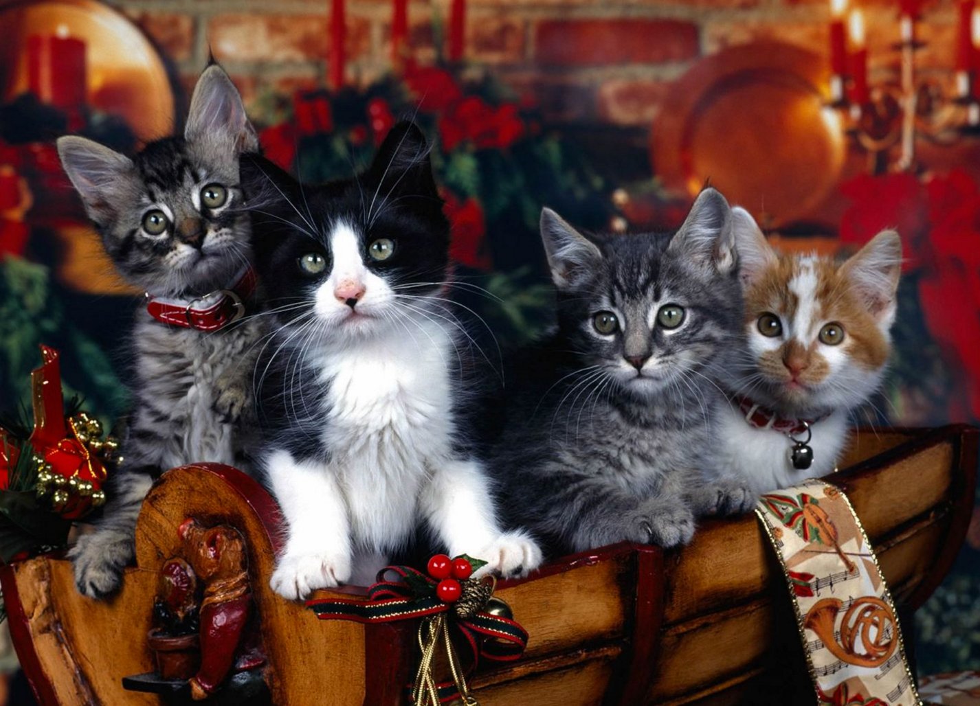 deck the hall
