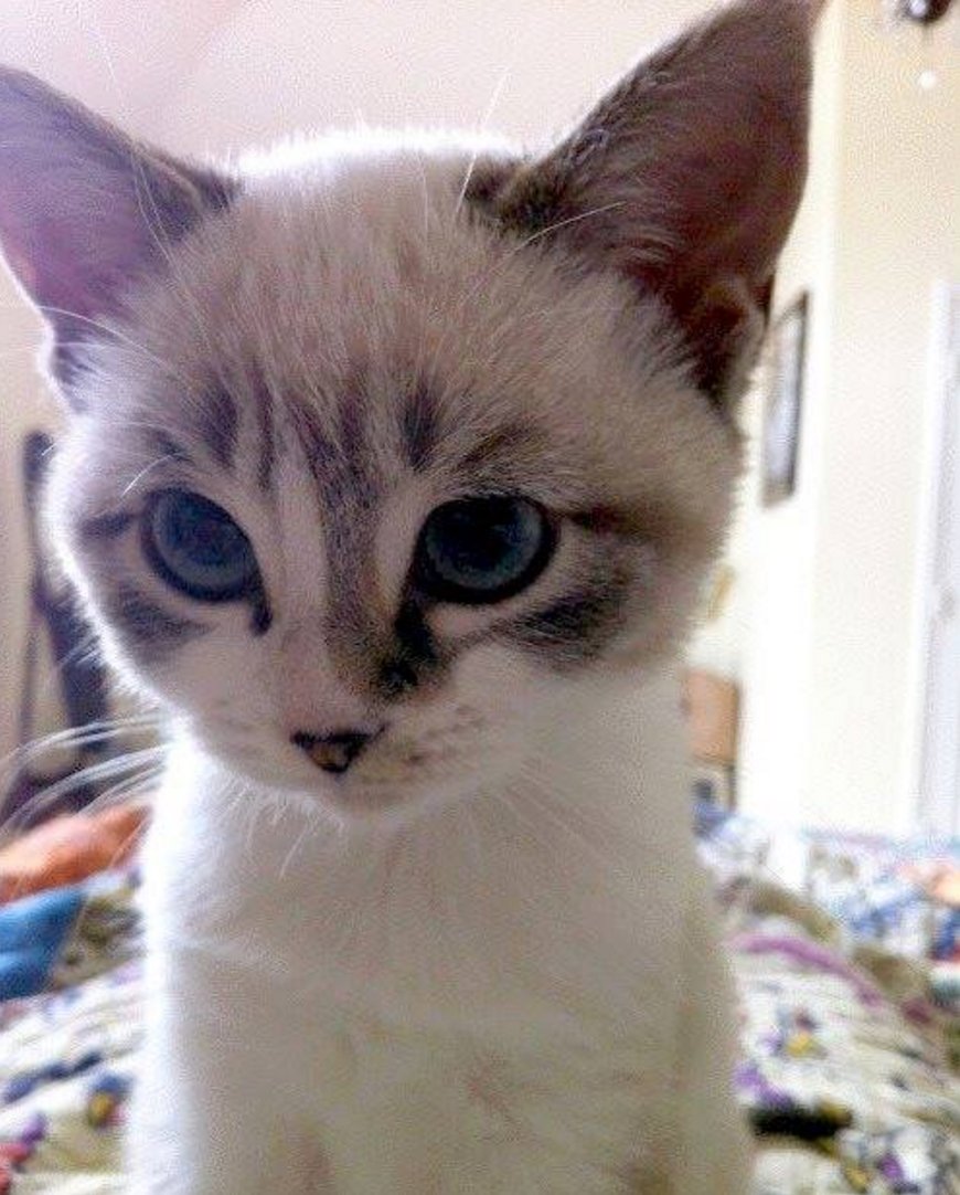 feed me