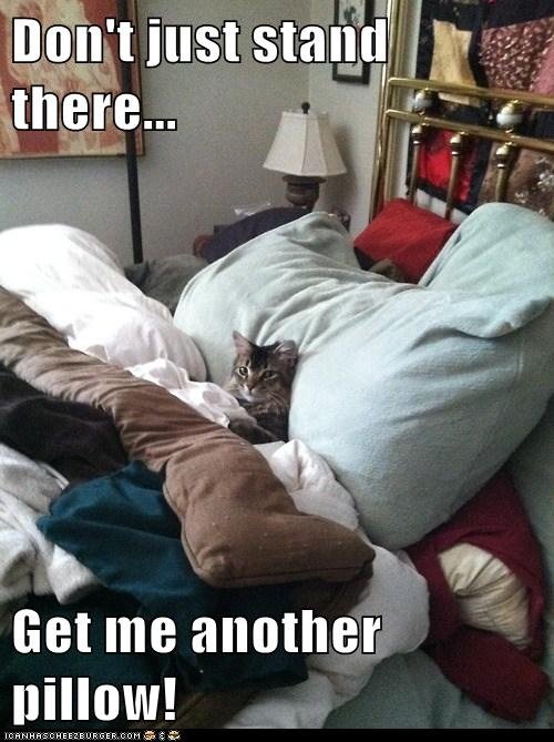pillow lol