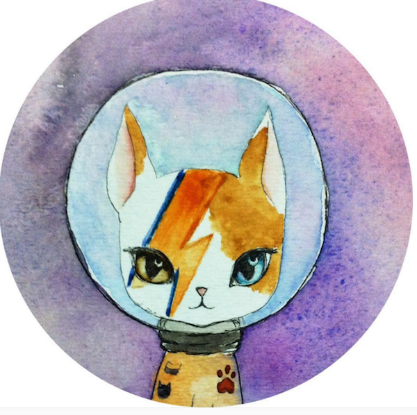 BowieCats6