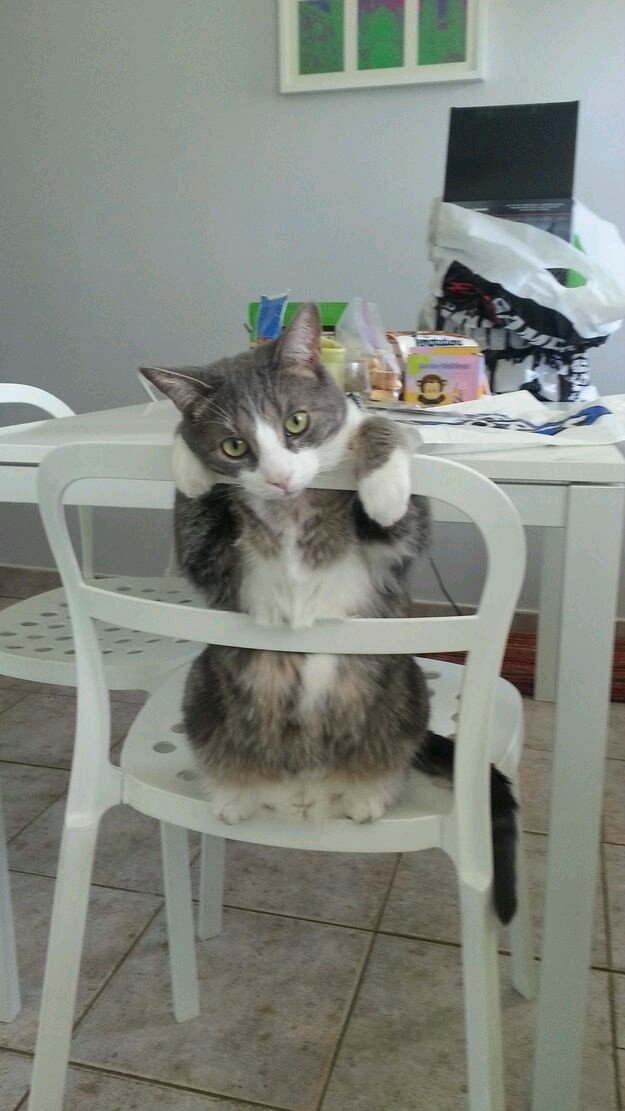strike a pose