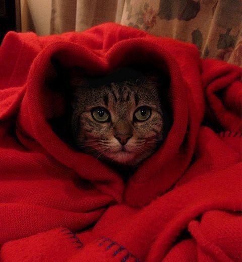 valentine blanket