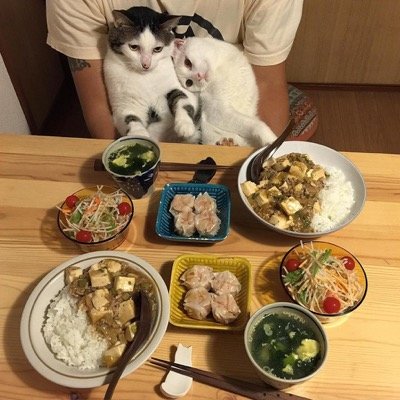 food envy 1