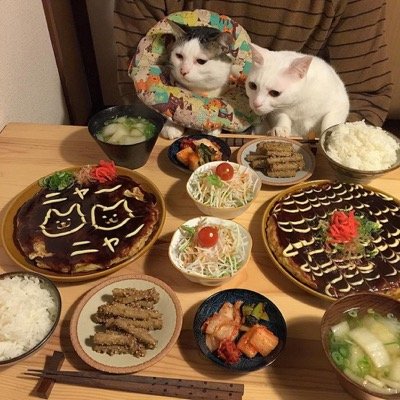 food envy 10