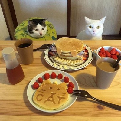 food envy 11
