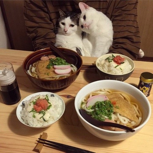 food envy 13