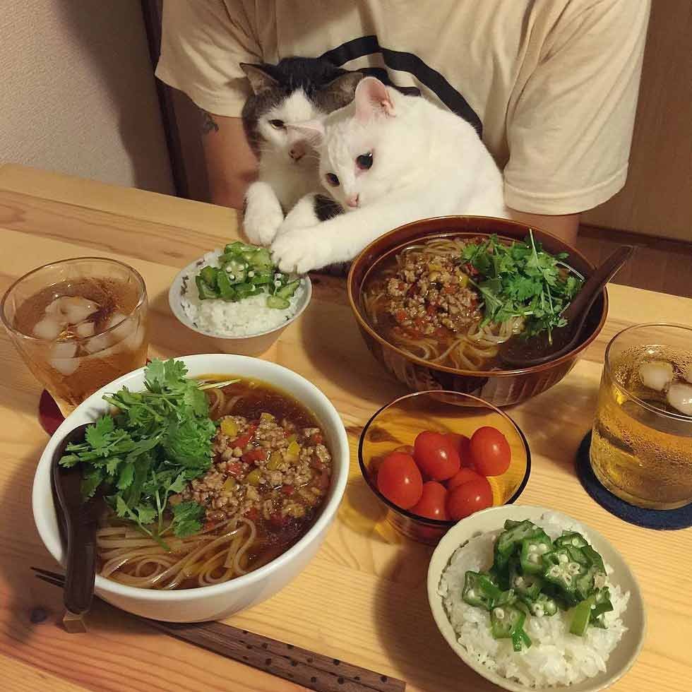 food envy 3