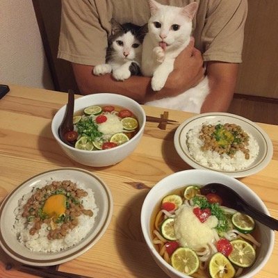 food envy 6
