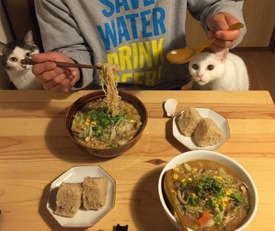 food envy 8