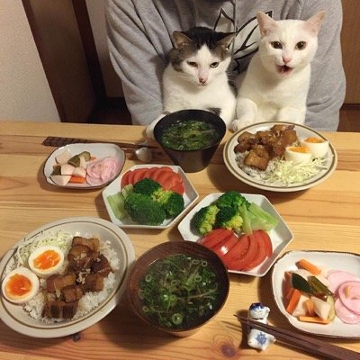 food envy 9