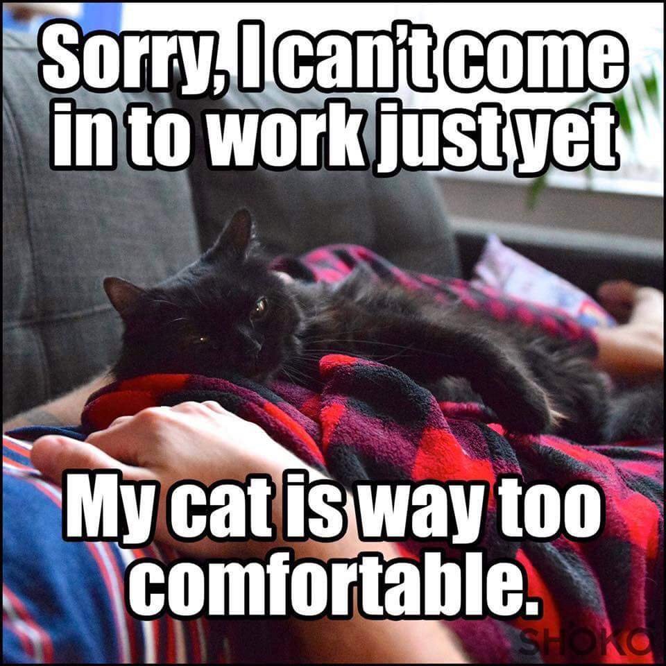 cant come to work lol