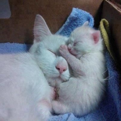 mama and baby love