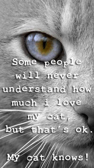 how-much-i-love