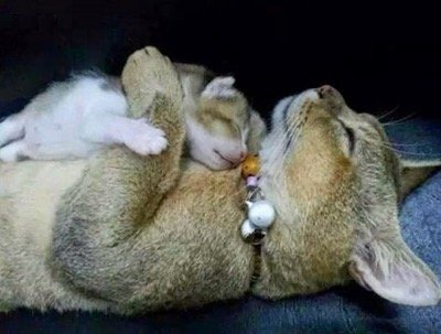 snuggles-copy