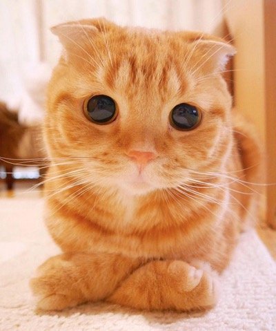 most-beautiful-10