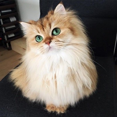 most-beautiful-6