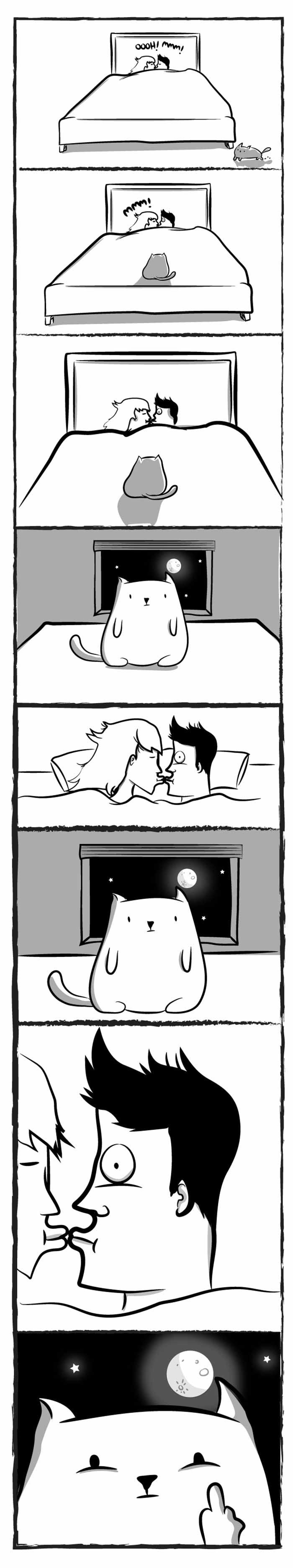 catcom-12