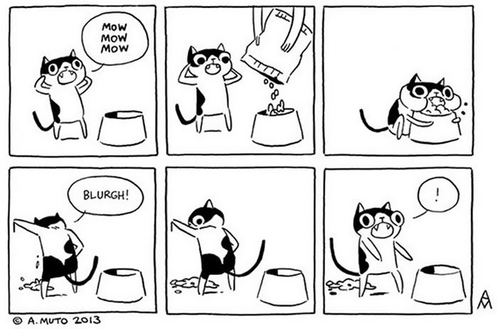 catcom 2