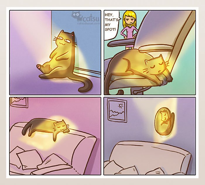 catcom-5