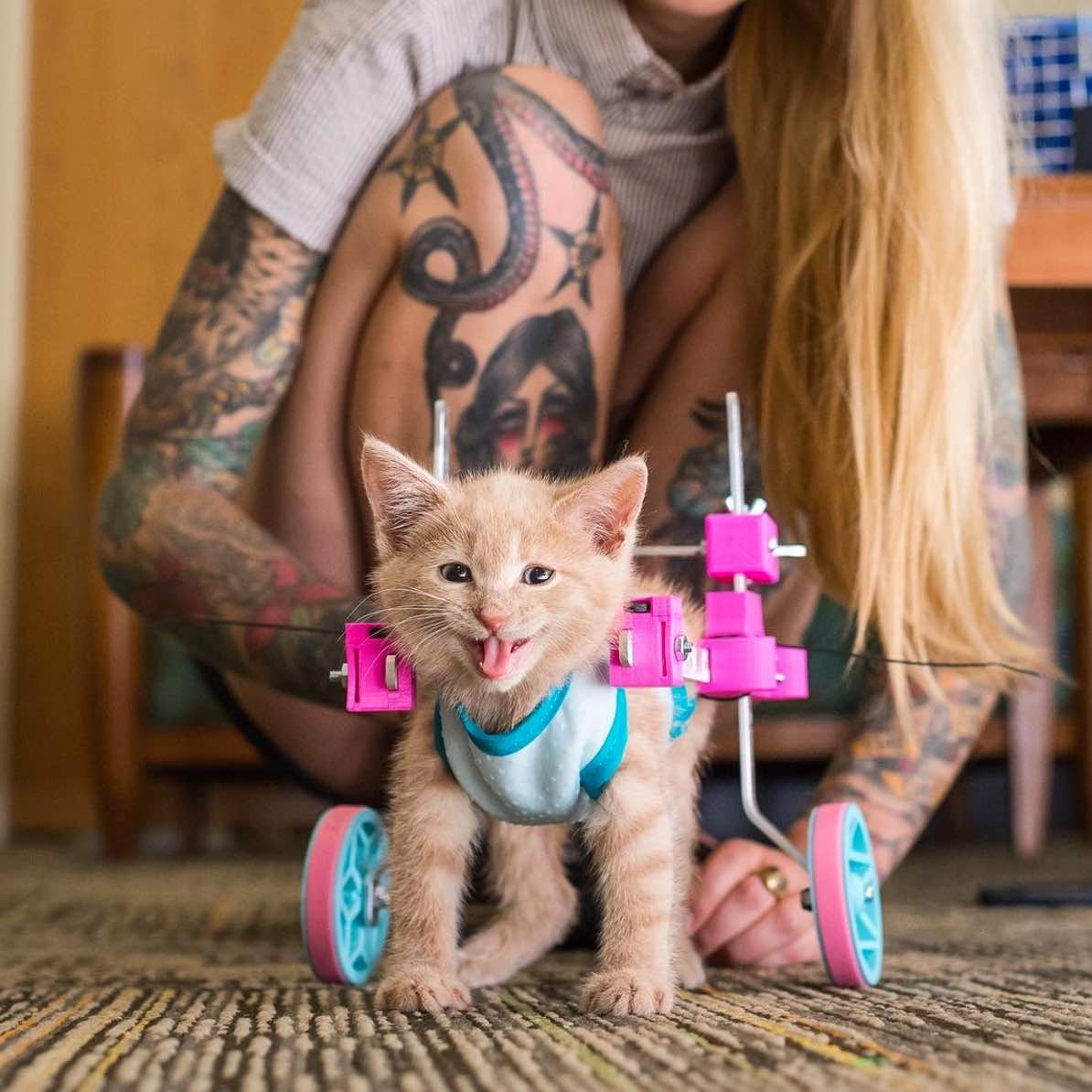 chloe 6 chloe 6