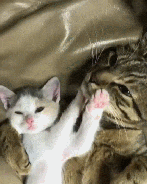 pink jellybeans