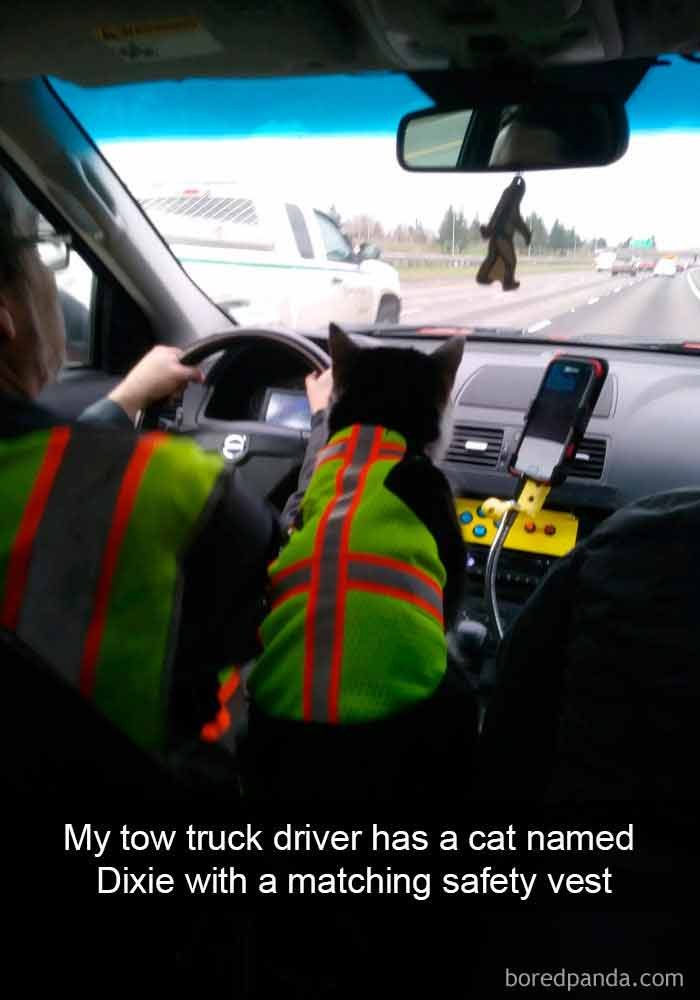 snap3-13