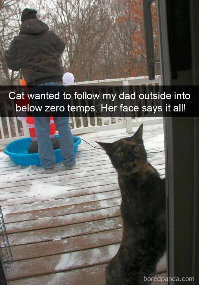 snap3-14