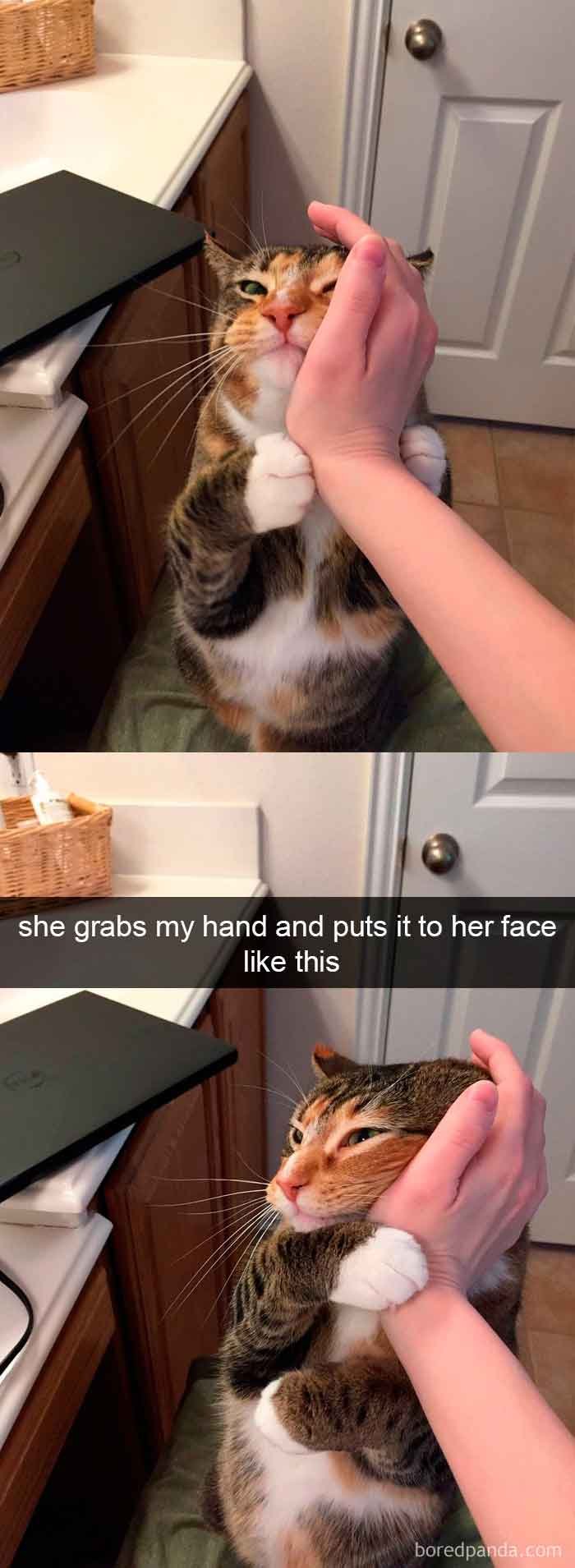 snap3-15