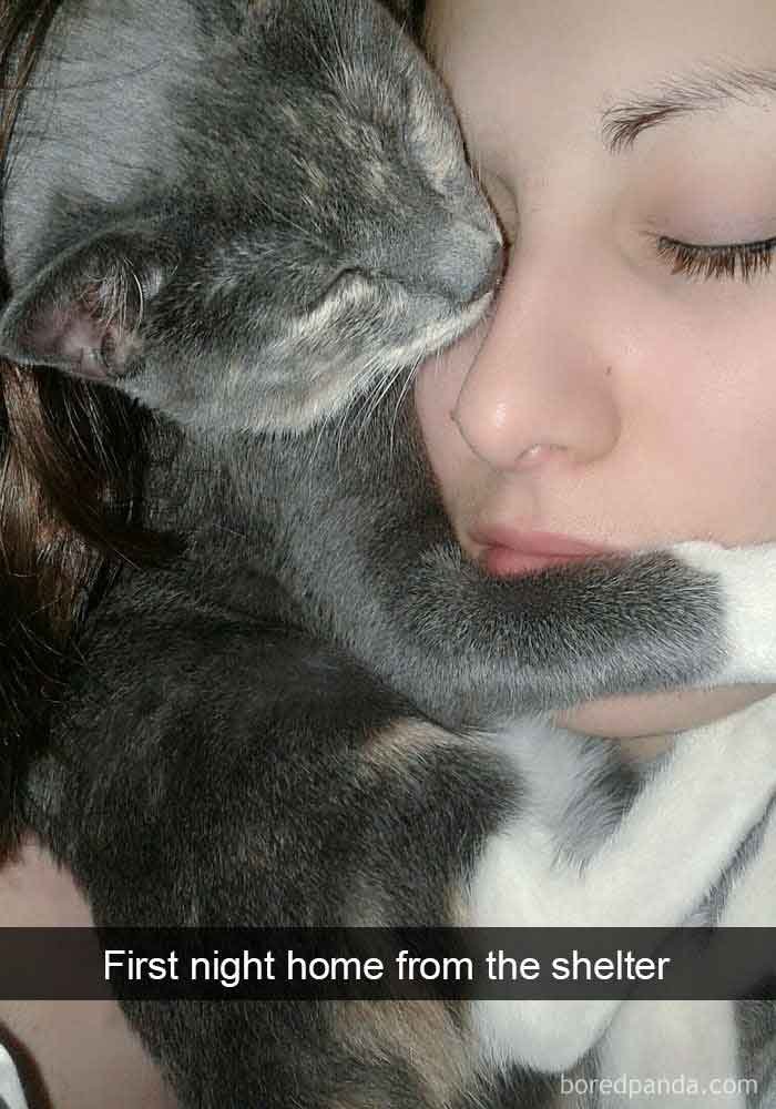 snap3-16