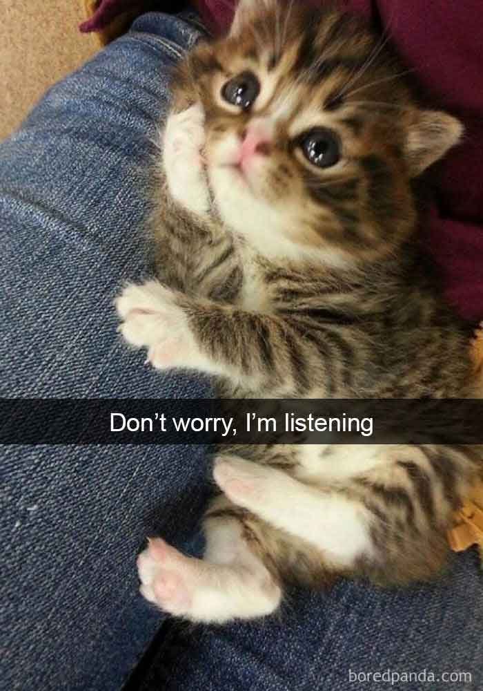 snap3-17