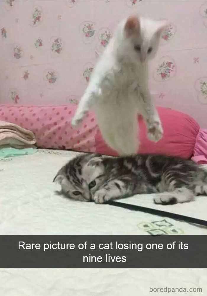 snap3-3