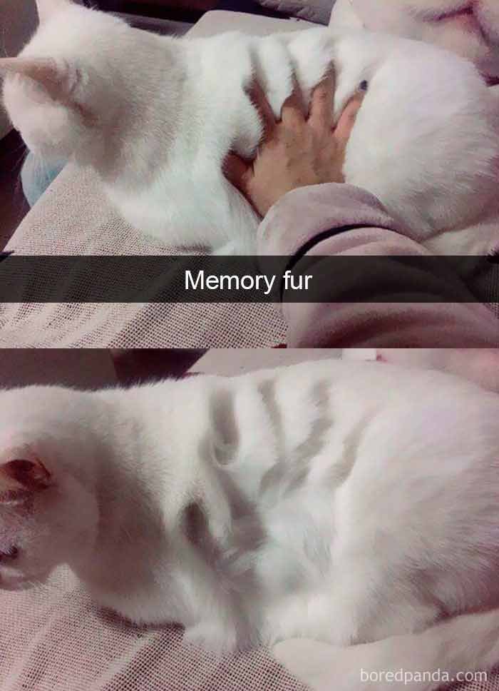 snap3-5