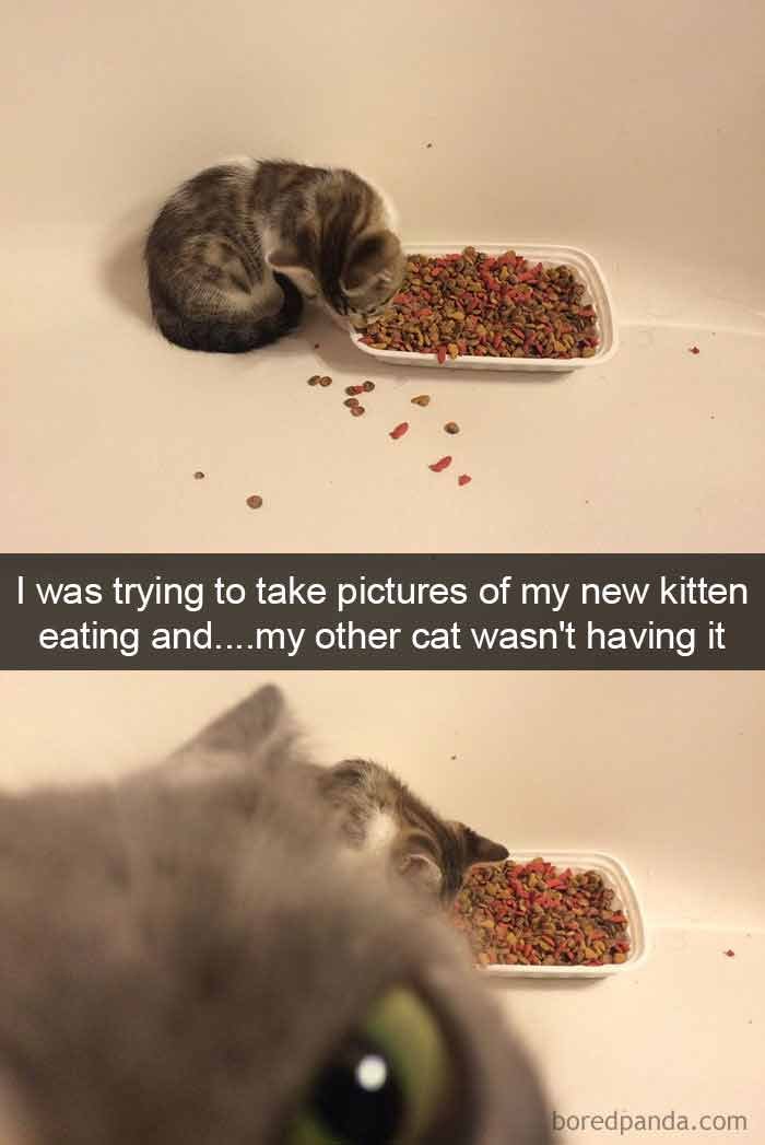 snap3-8